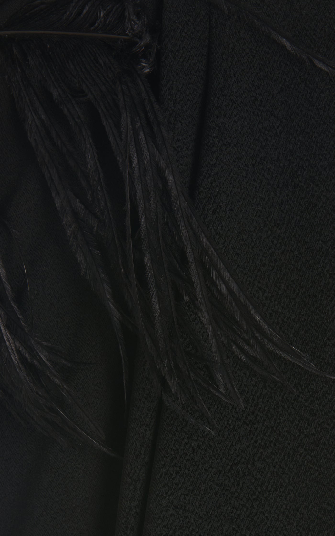 Mirai Feather-Trimmed Crepe Gown