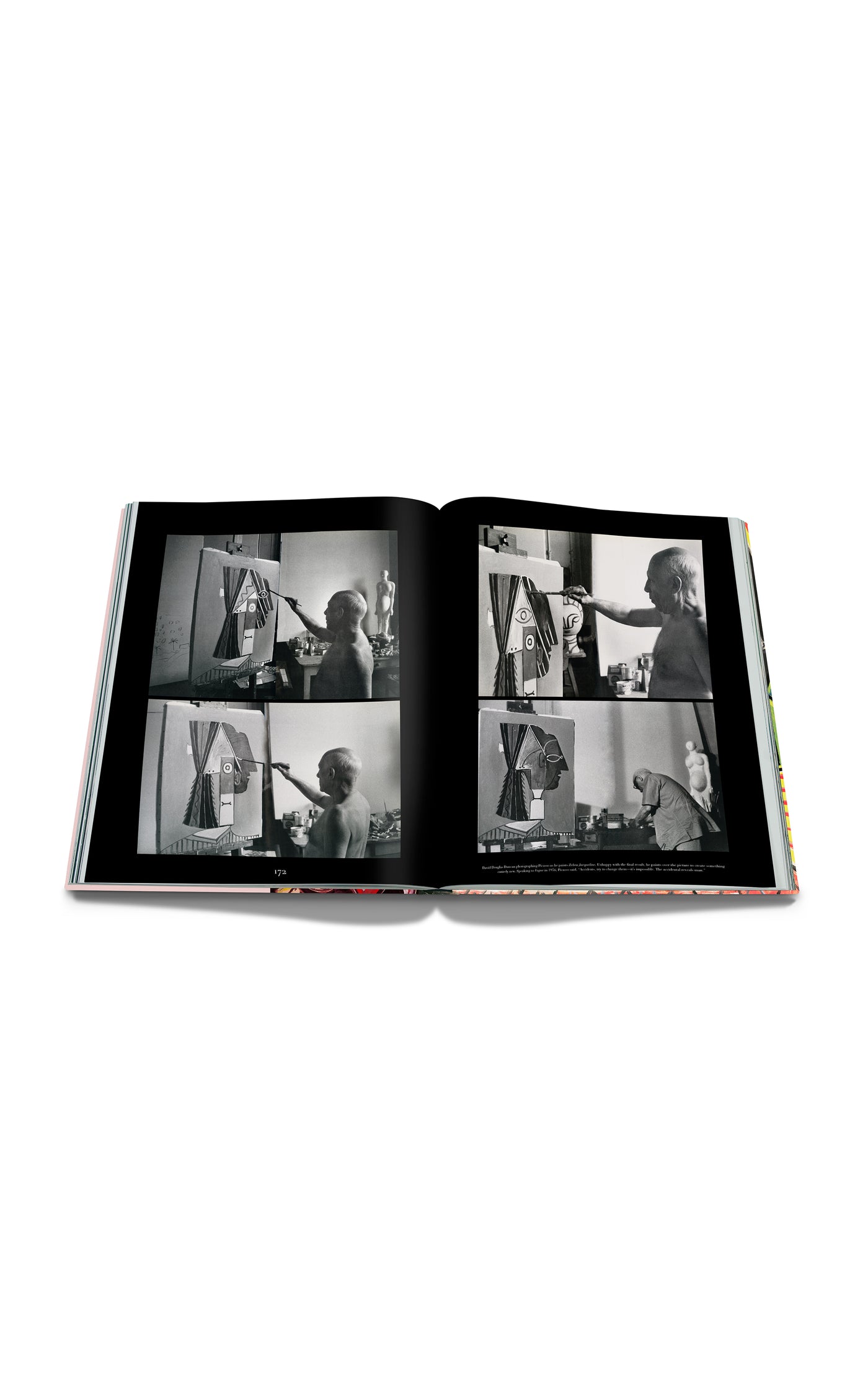 Pablo Picasso: The Impossible Collection Hardcover Book