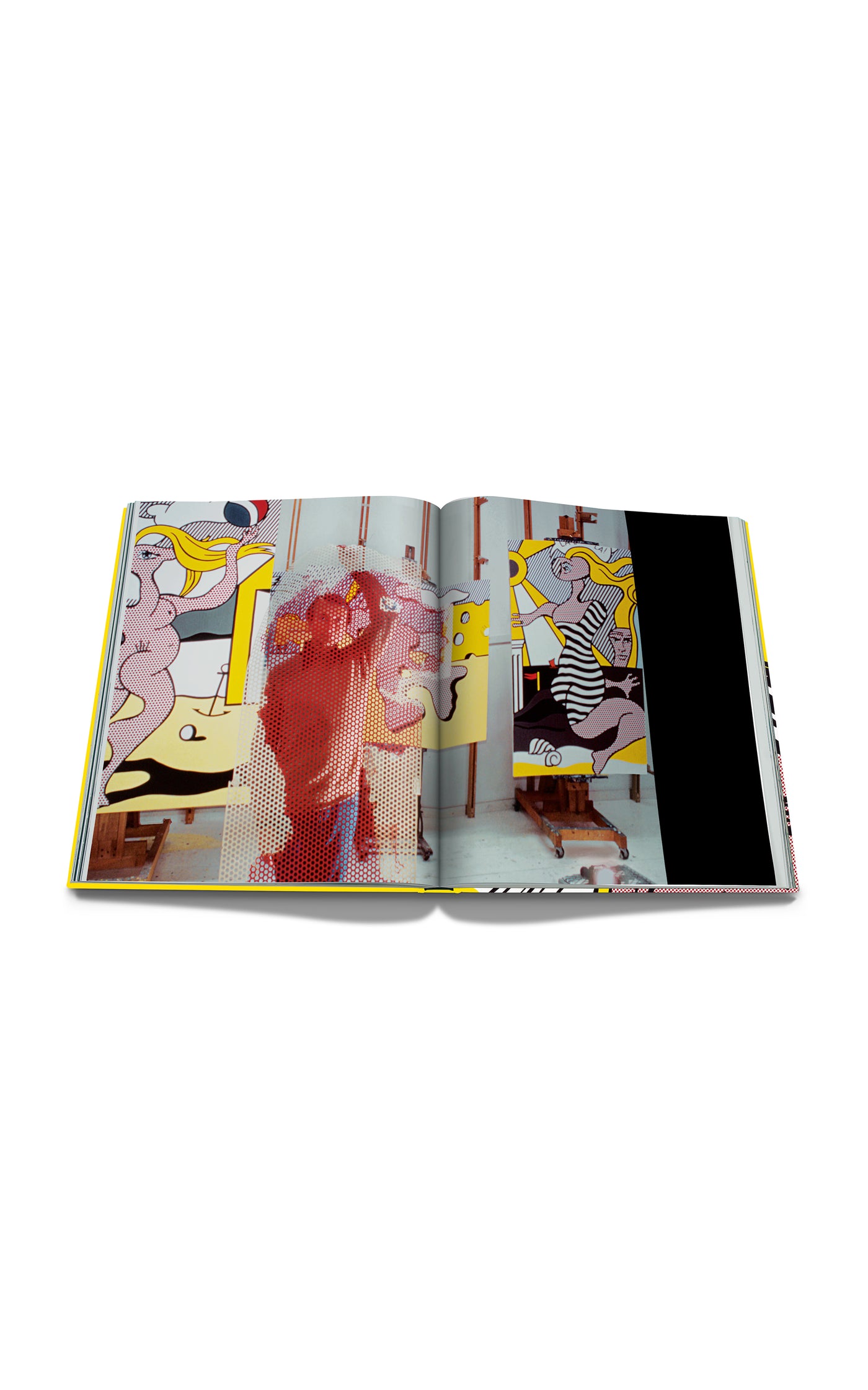 Roy Lichtenstein: The Impossible Collection Hardcover Book