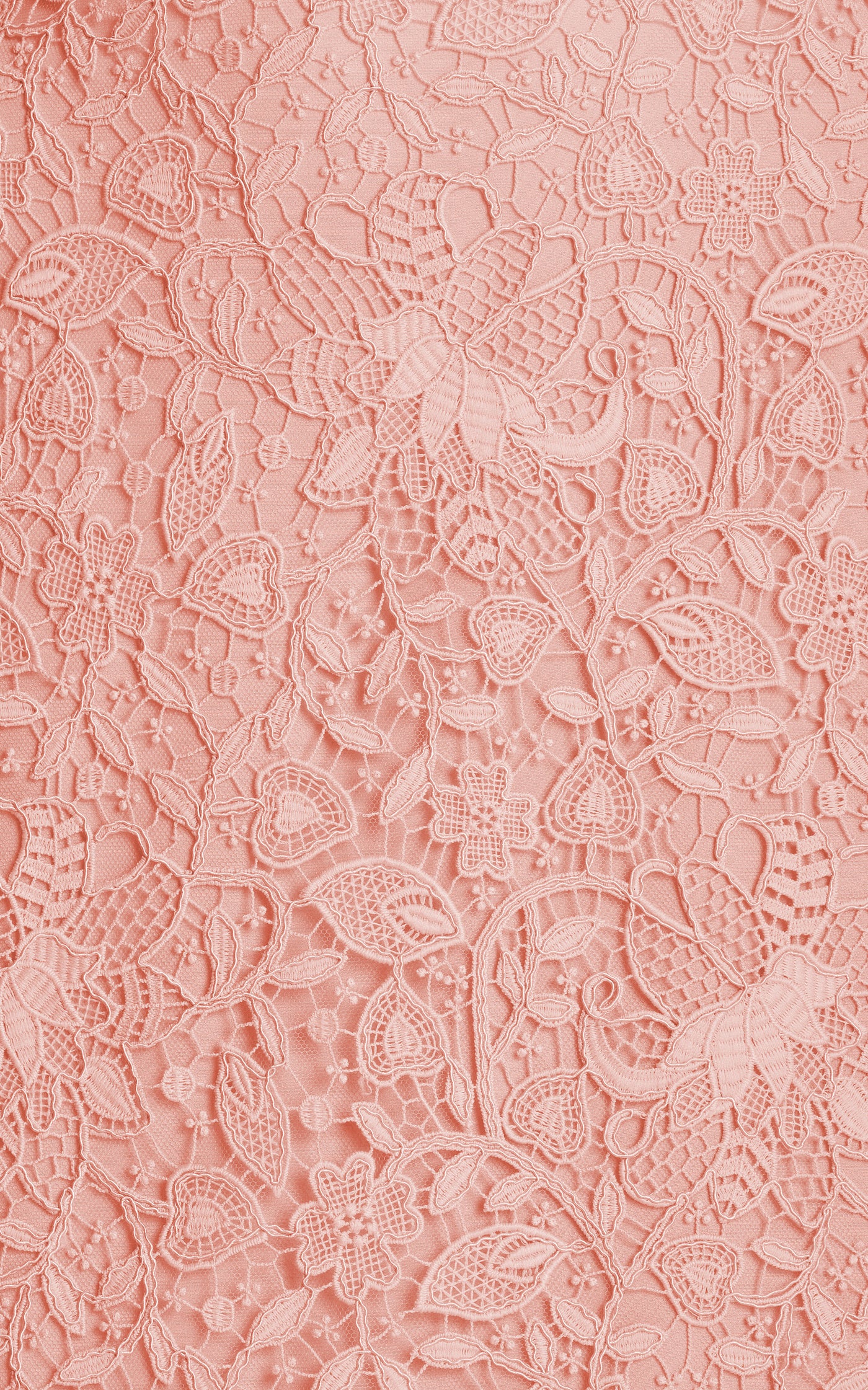 Lace Broderie Midi Skirt