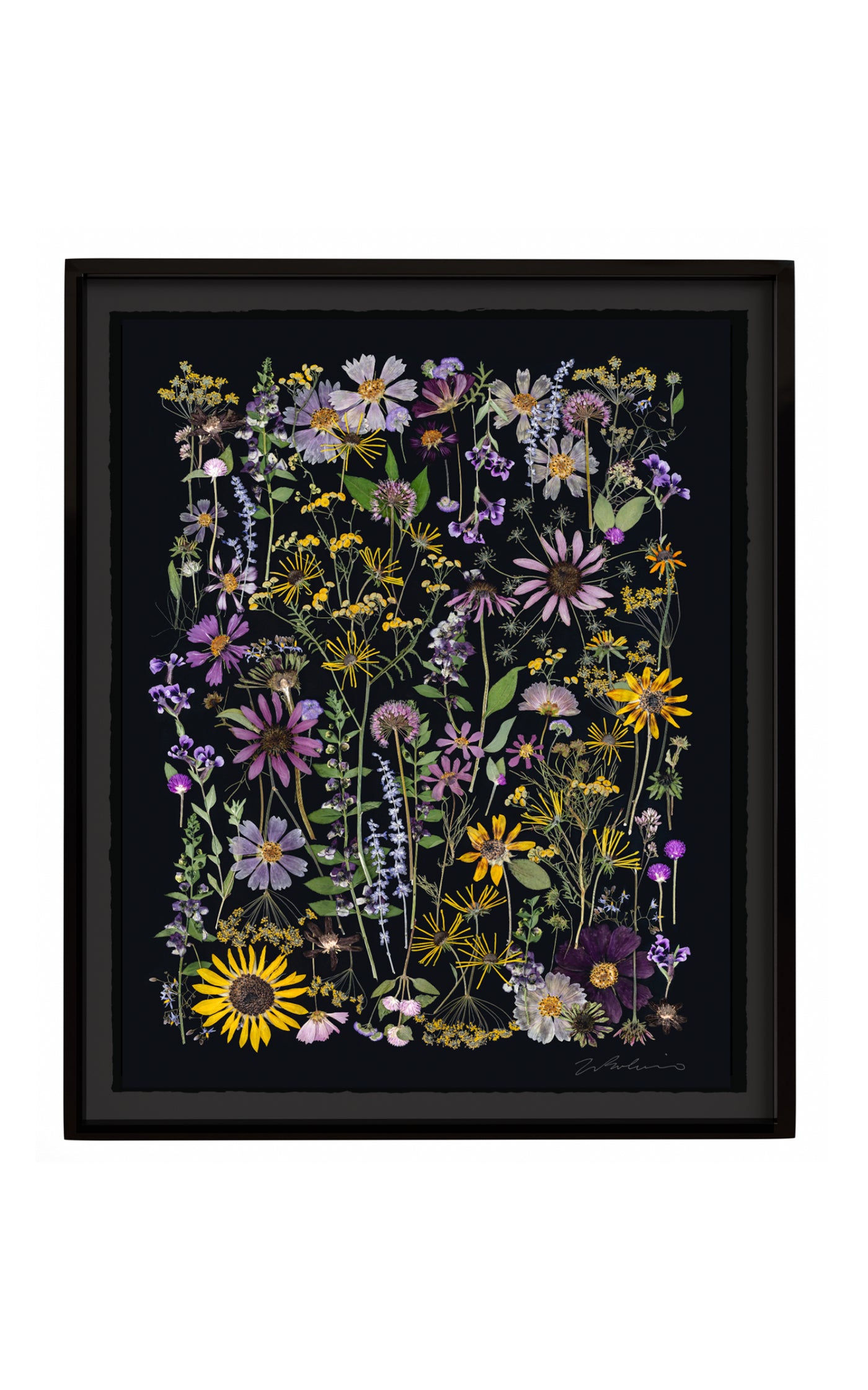 A Memory of Summer Limited Edition Archival Pigment Print