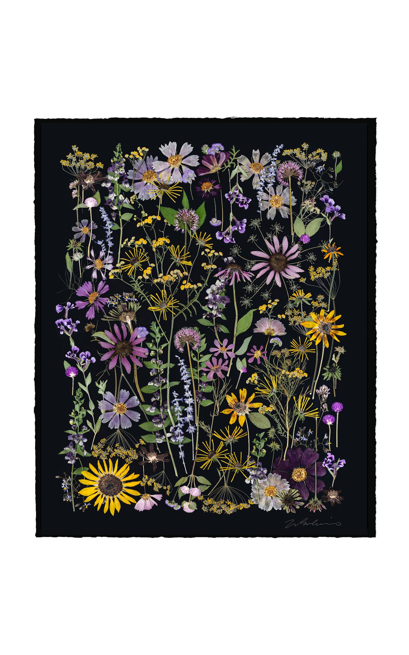 A Memory of Summer Limited Edition Archival Pigment Print