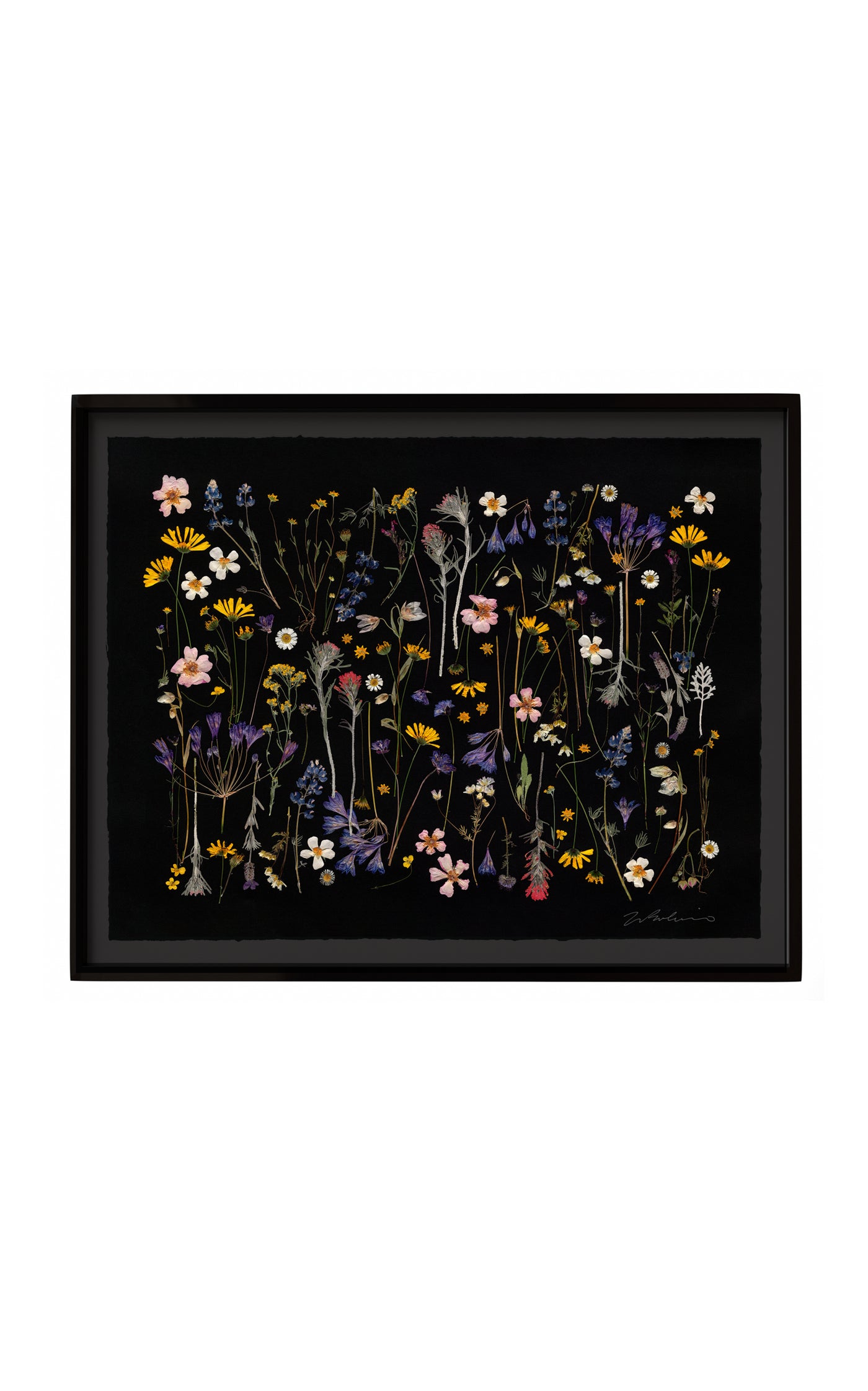 California Farm and Wildflowers Limited Edition Archival Pigment Print