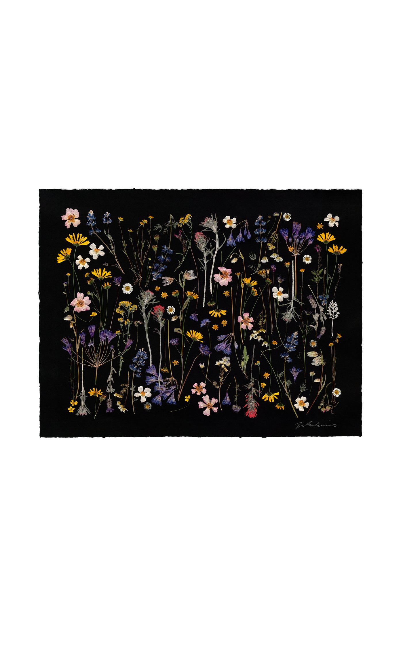 California Farm and Wildflowers Limited Edition Archival Pigment Print