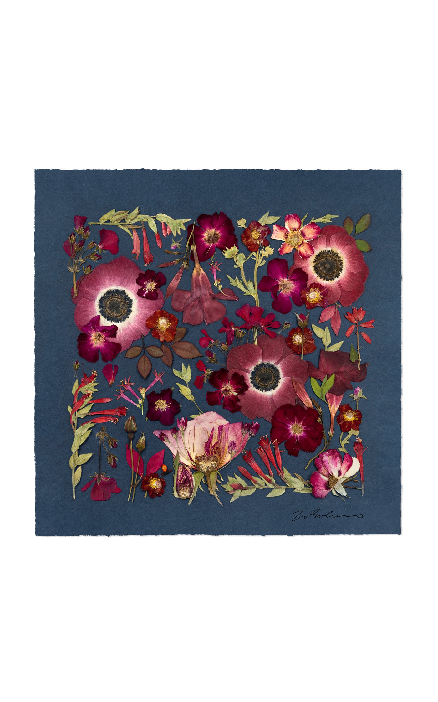 Jewels of the Garden Limited Edition Archival Pigment Print