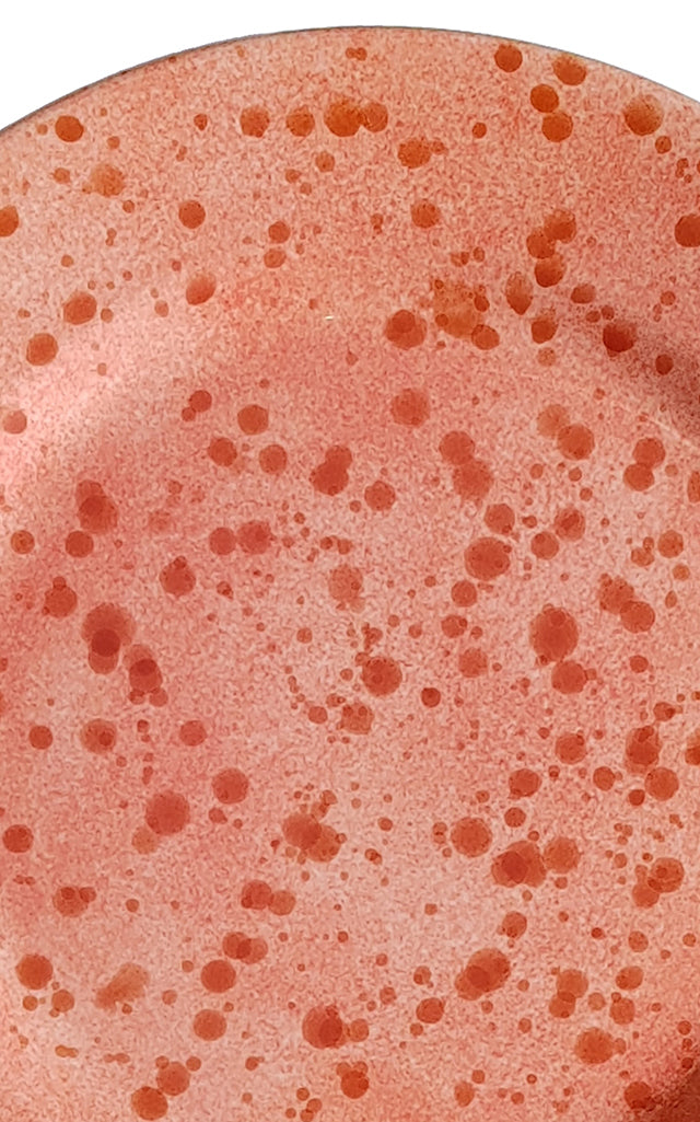 Set-Of-Four Ceramic Dinner Plates