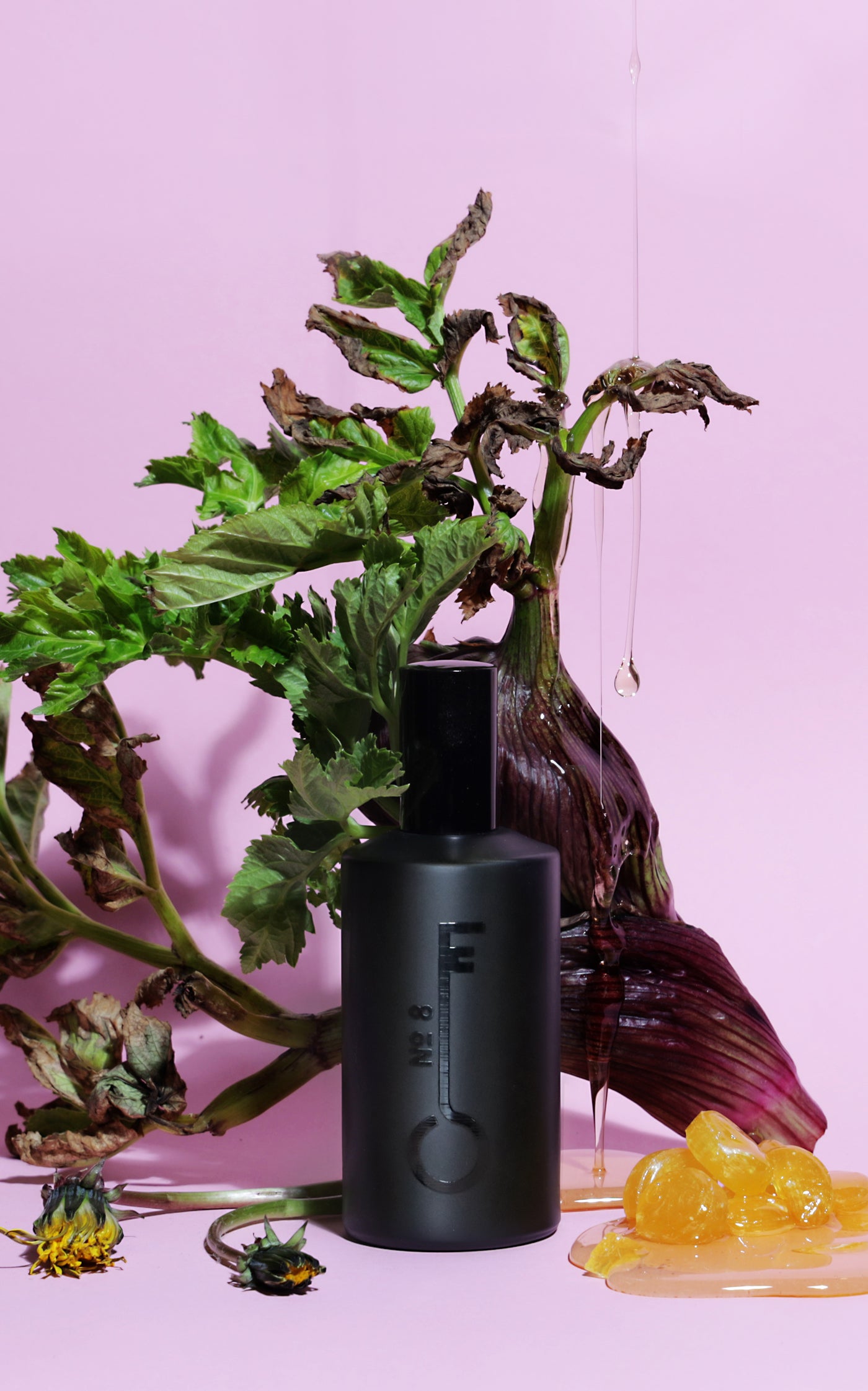 No. 8 Fragrance