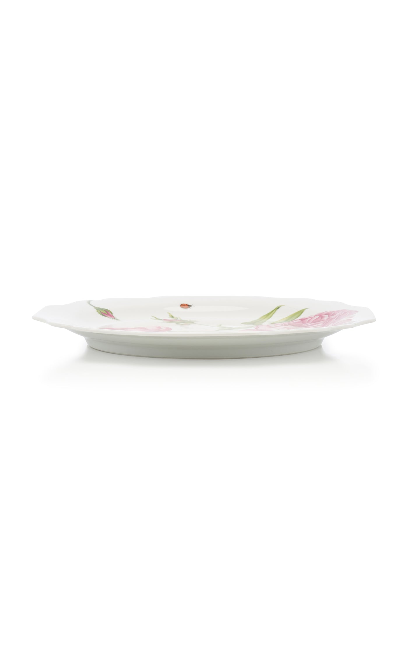 Painted Porcelain Dinner Plate