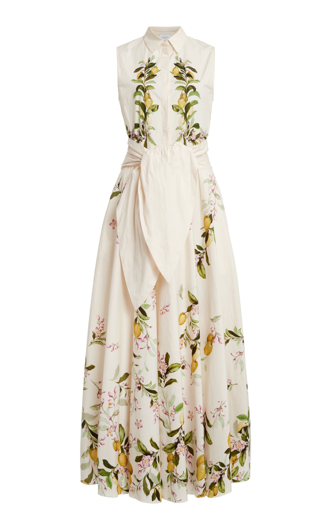 Printed Cotton Poplin Midi Dress
