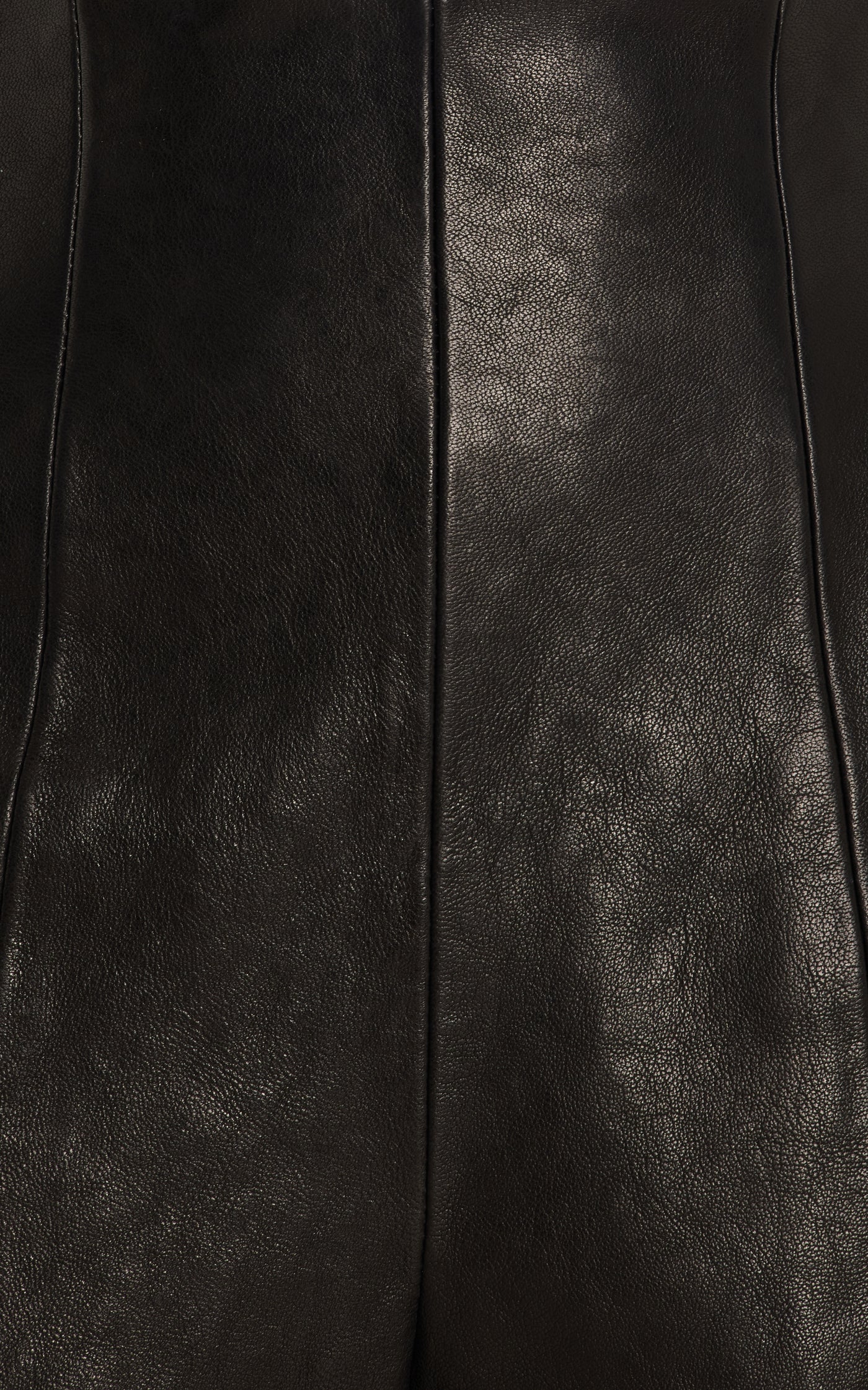 Lenn High-Rise Leather Pants