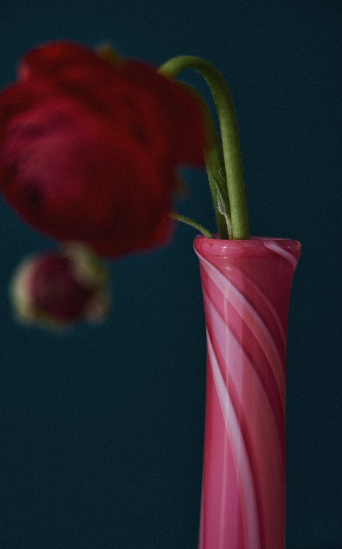 Exclusive Bubblegum Pink Drop Neck Vase With Coral And White Strokes