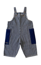 Groove Overall Stripe - multi