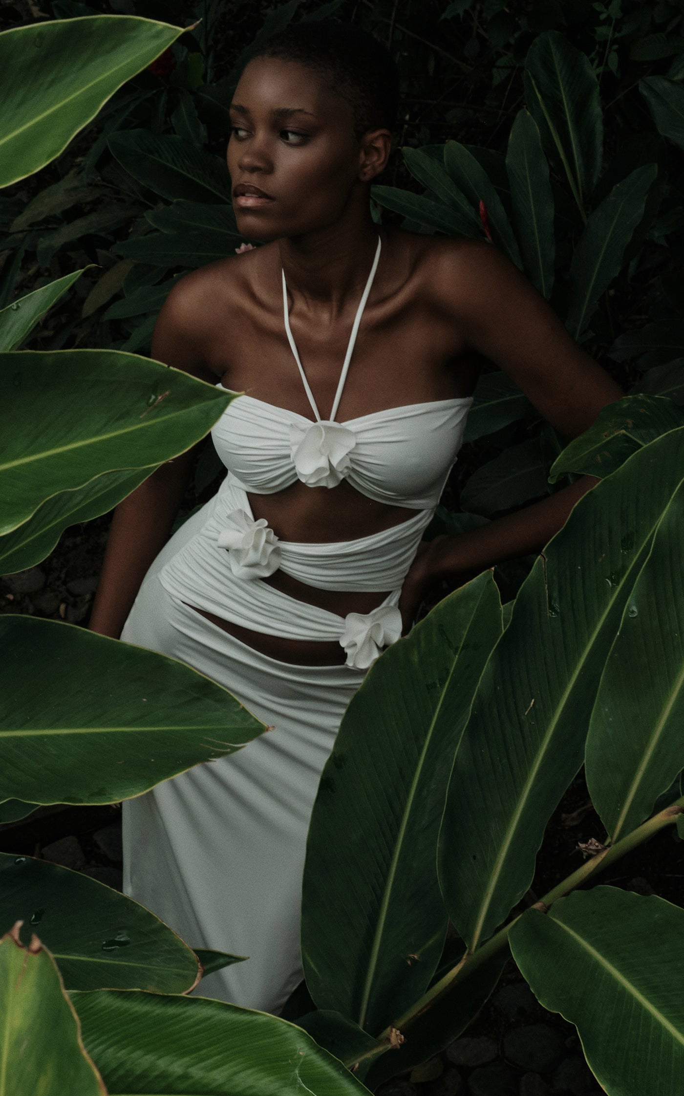 Veranera Dress