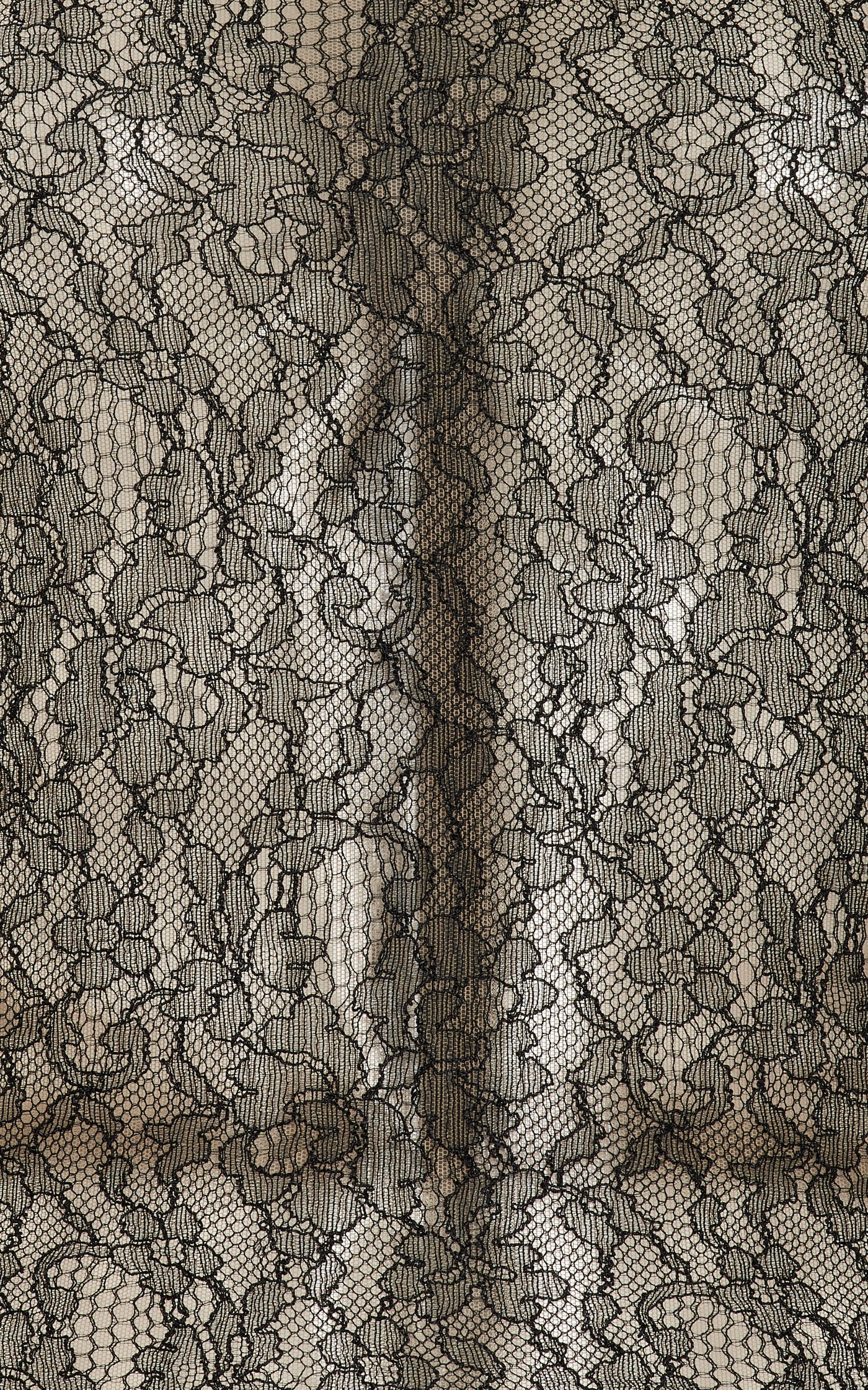 Stretch Chantilly Lace Bodysuit