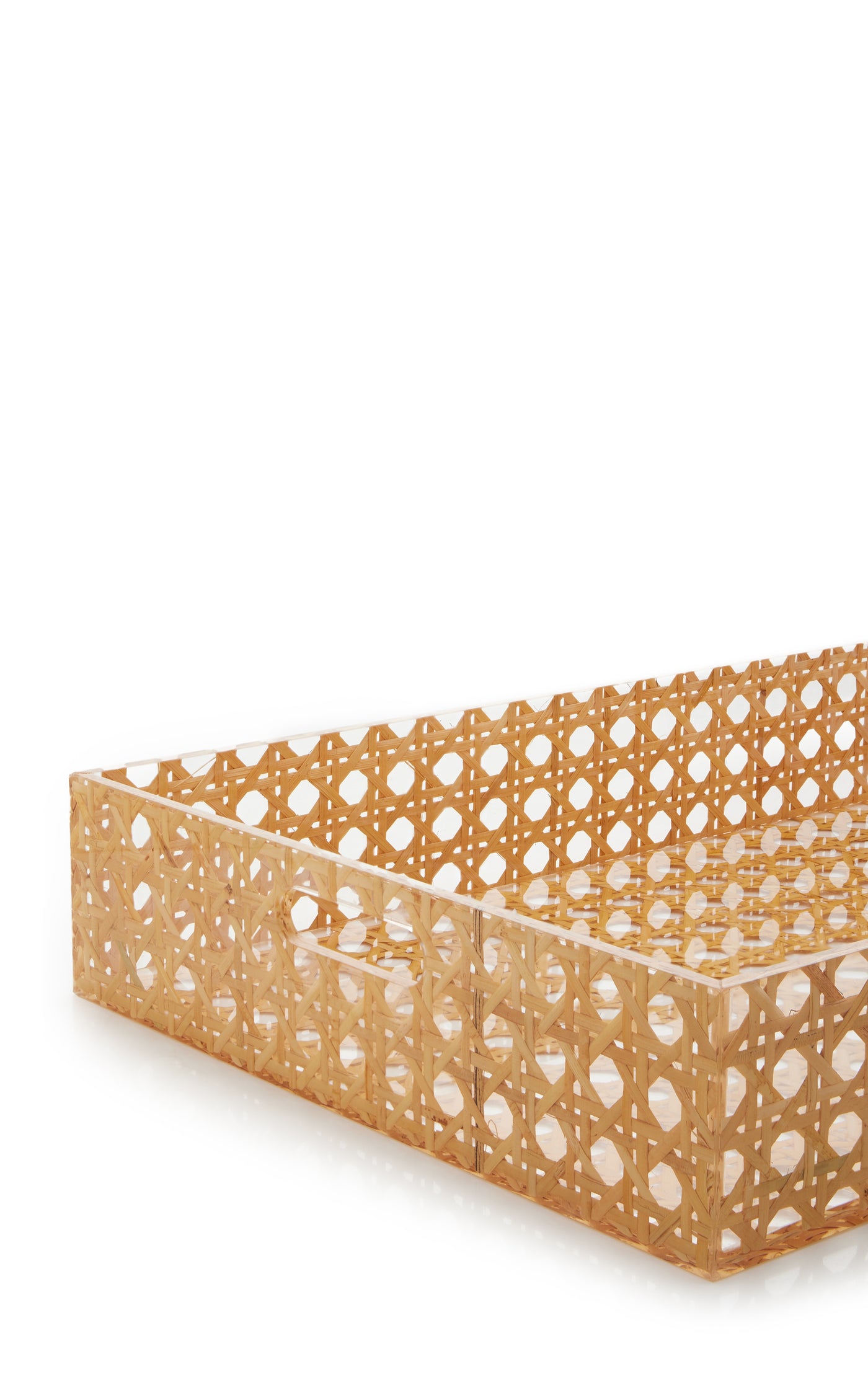 Large Rattan-Resin Tray