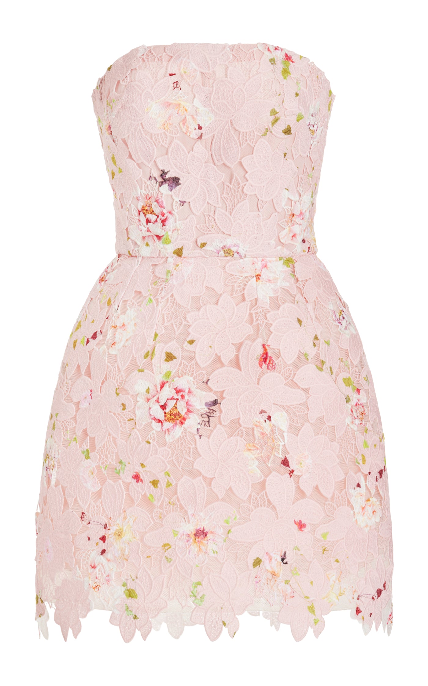 Strapless Lace-Detailed Printed Mini Dress