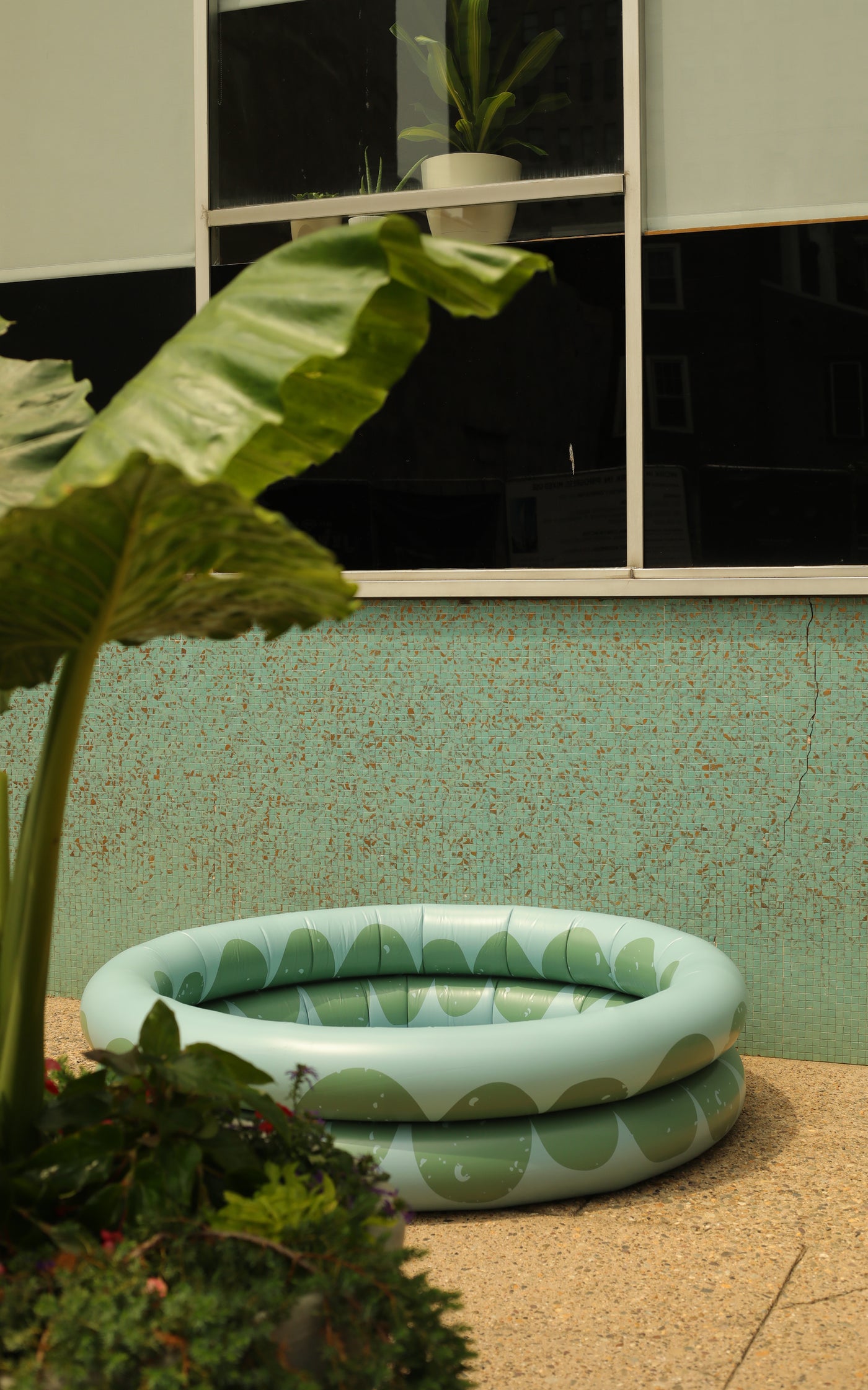 Pond Inflatable Pool