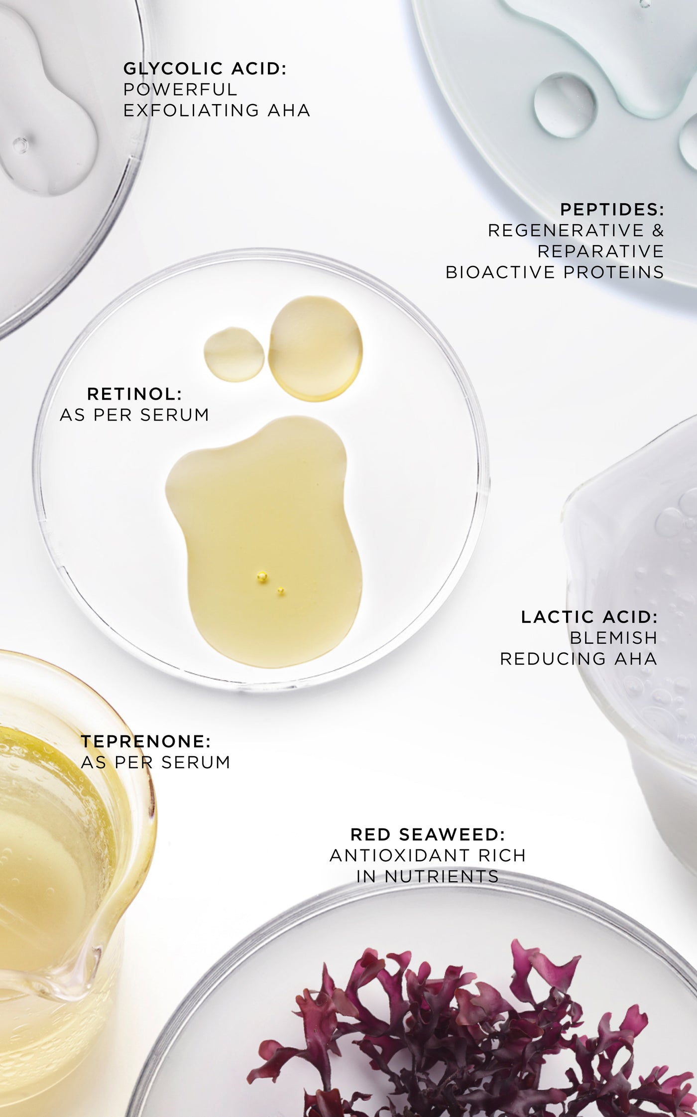 The Absolute Rejuvenation Night Balm