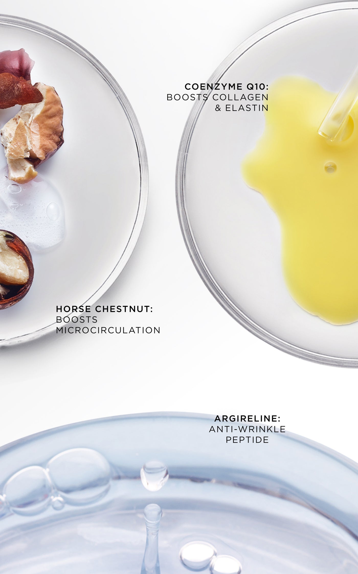 The Absolute Restoring Eye Cream