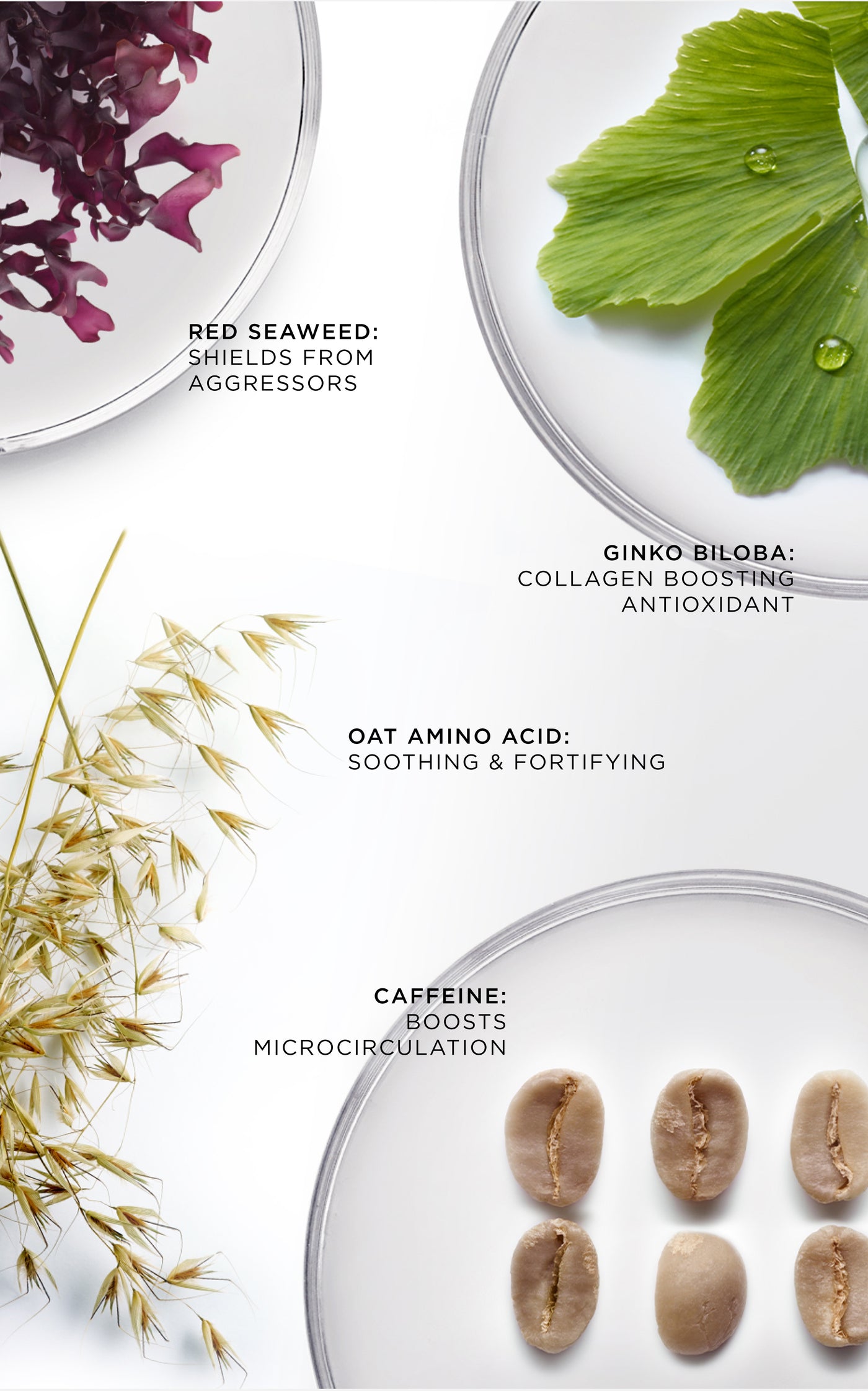 The Brilliant Vibrant Eye Infusion