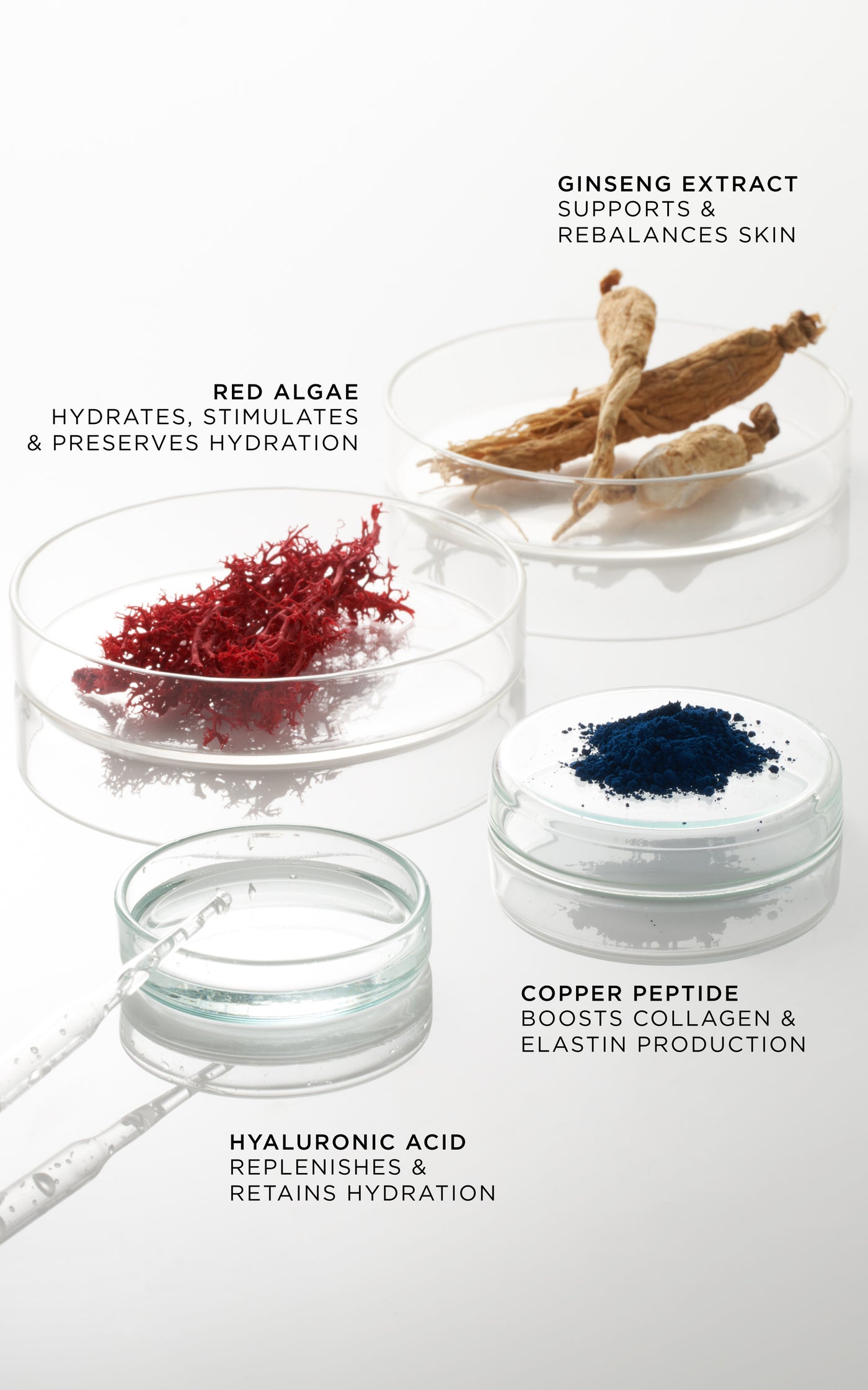 The Elemental Hydrating Preparation Essence