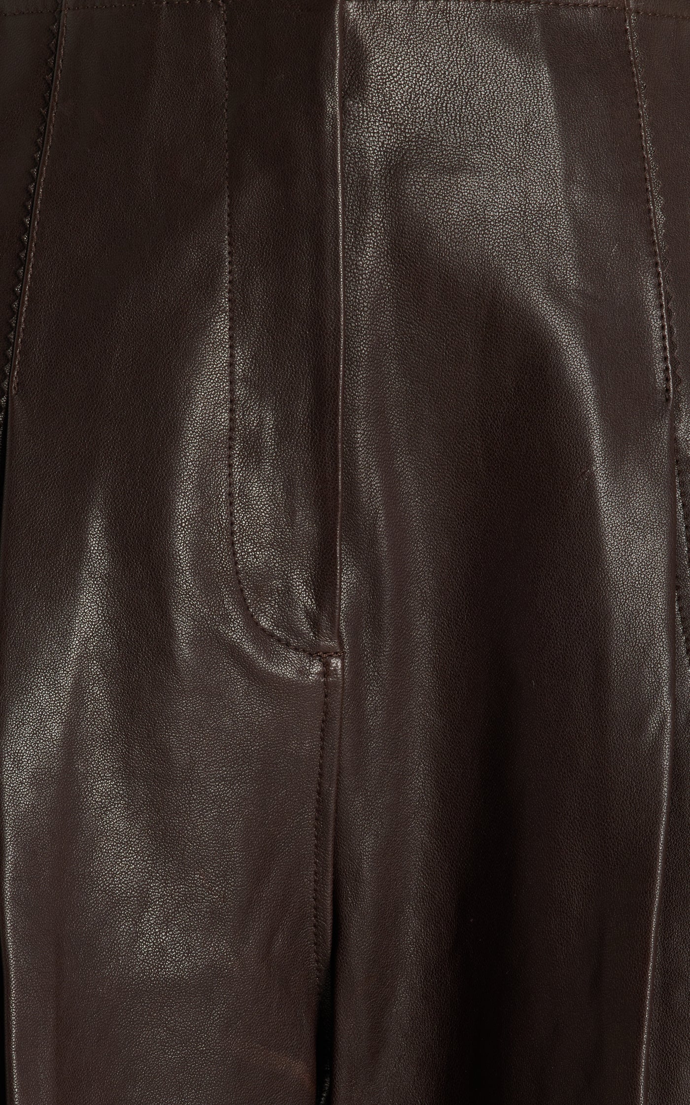 Sloane Pleated Tapered Wide-Leg Leather Pants